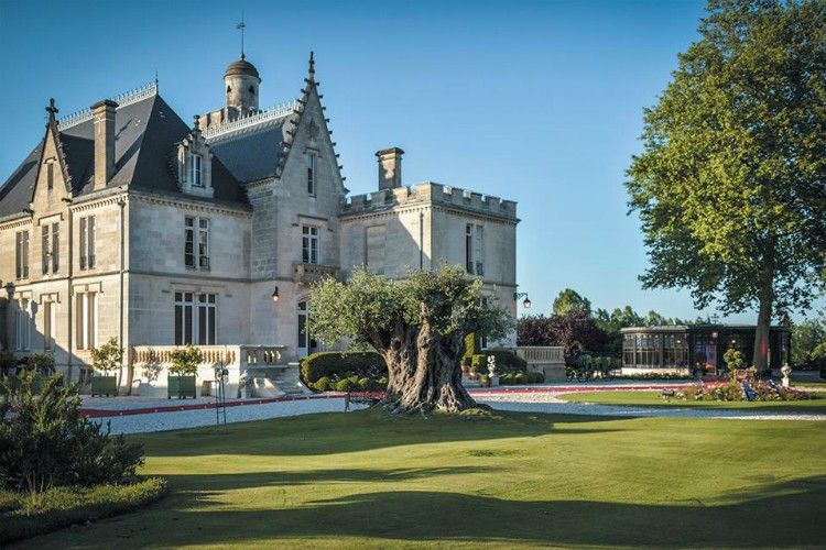 Chateau Pape Clement - Pessac bordeaux vineyard, wine tasting in bordeaux, top 3 vineyards to visit in bordeaux