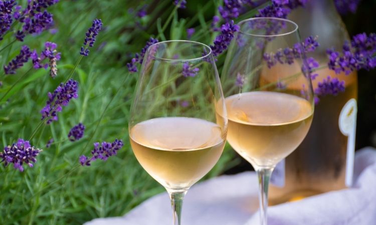 Provence wine