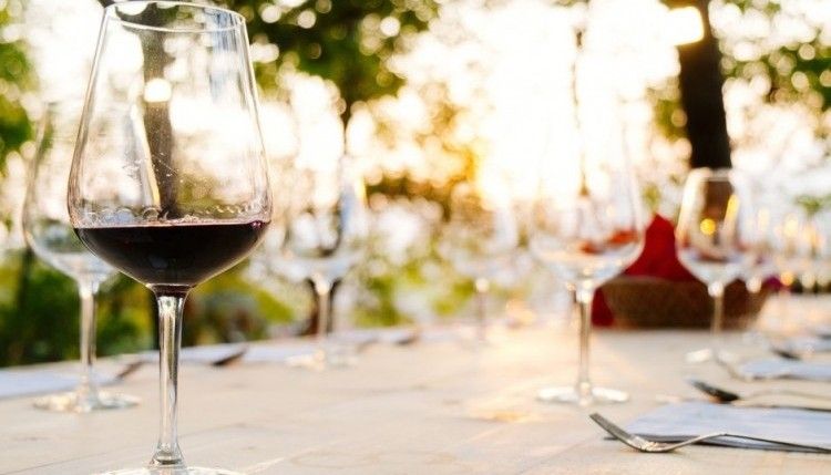 Wine tasting - Olivers travels