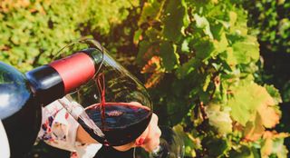 Glass and bottle of red wine