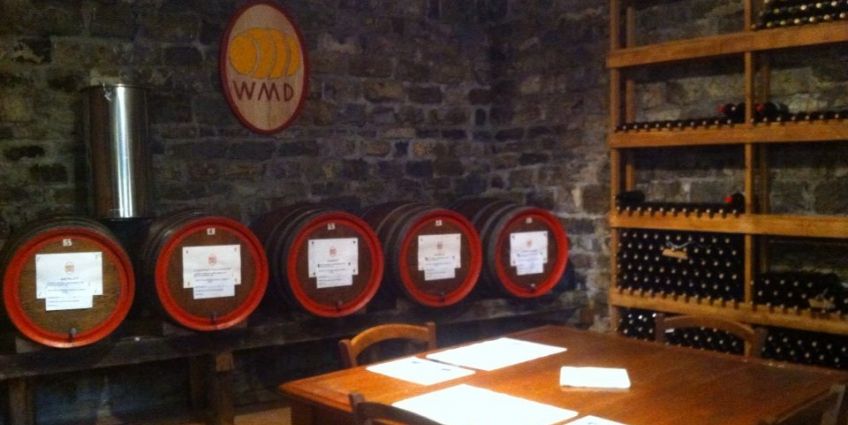 Wine Travel in Tuscany 