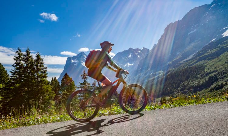 Mountain biking on Alpine summer holiday