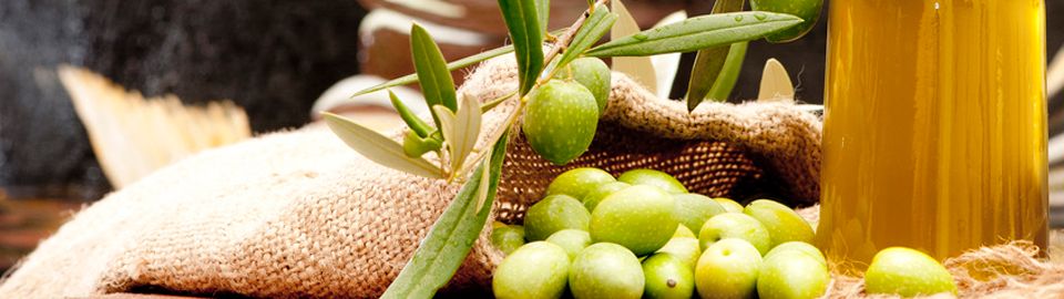 Taste the real olive oil in Andalucia..