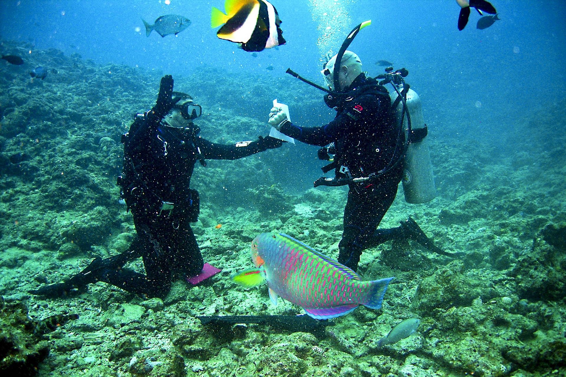 Scuba Diving
