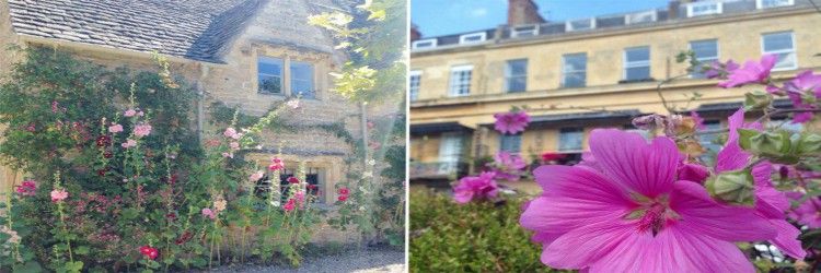 The Cotswolds