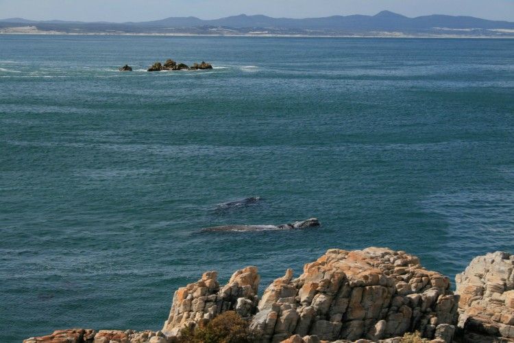 south africa