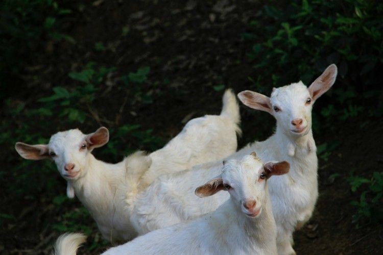 Best family activities in Mallorca