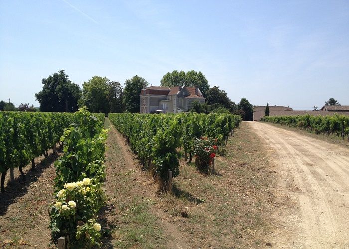 Wine tour - Aquitaine - Chateau Cantenac
