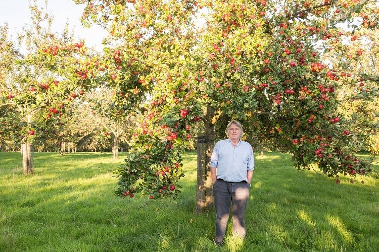 Cider Brandy - Somerset