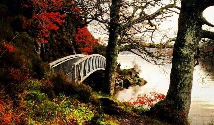 Loch Lomond National Park- Scotland