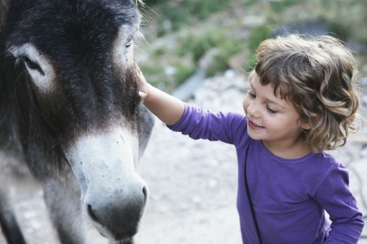 girl wearing a purple shirt smiling next to donkey in a petting zoo | best things to do with kids in Loire Valley