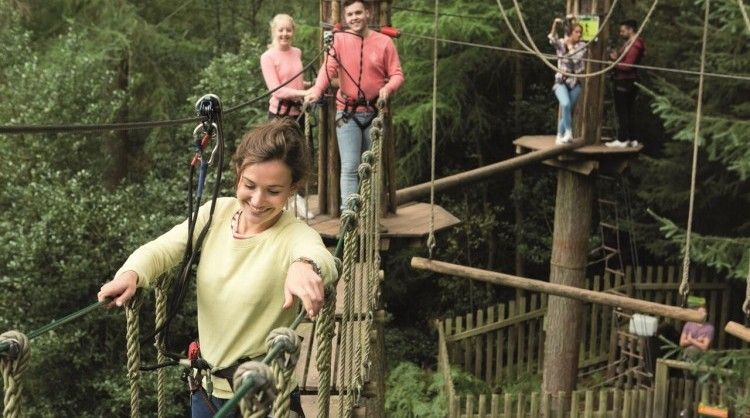 go ape