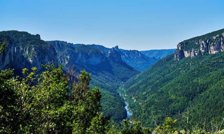 Tarn River Gorge