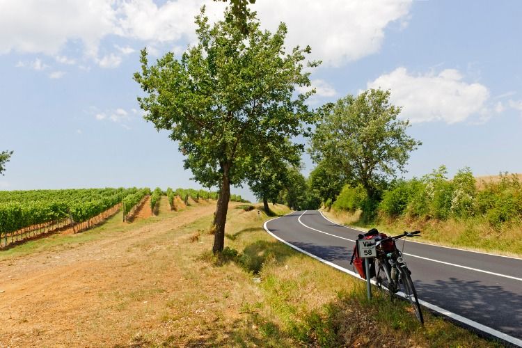 best group activities in Tuscany