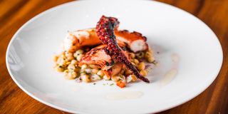 Best Foodie Activities - Algarve Travel Guide