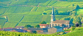 Burgundy Travel Guide - Oliver's Travels