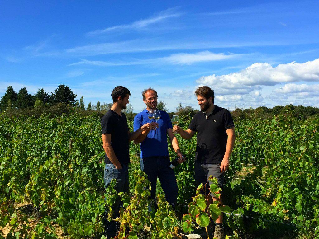 Domaine Saint Nicolas - Winery & Vineyard