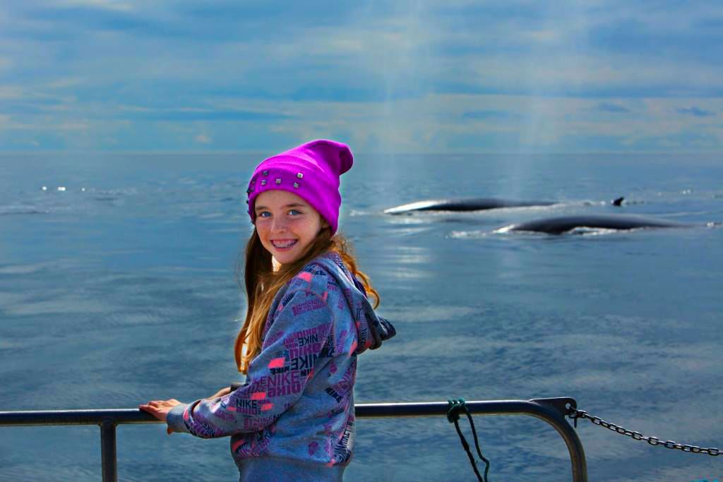 Cork Whale Watch - Ireland