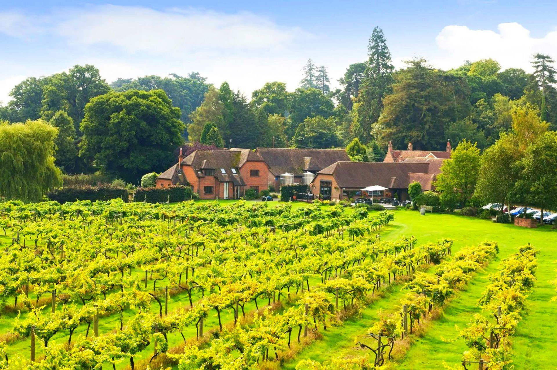 Three Choirs Vineyard - Restaurant - Winery & Vineyard