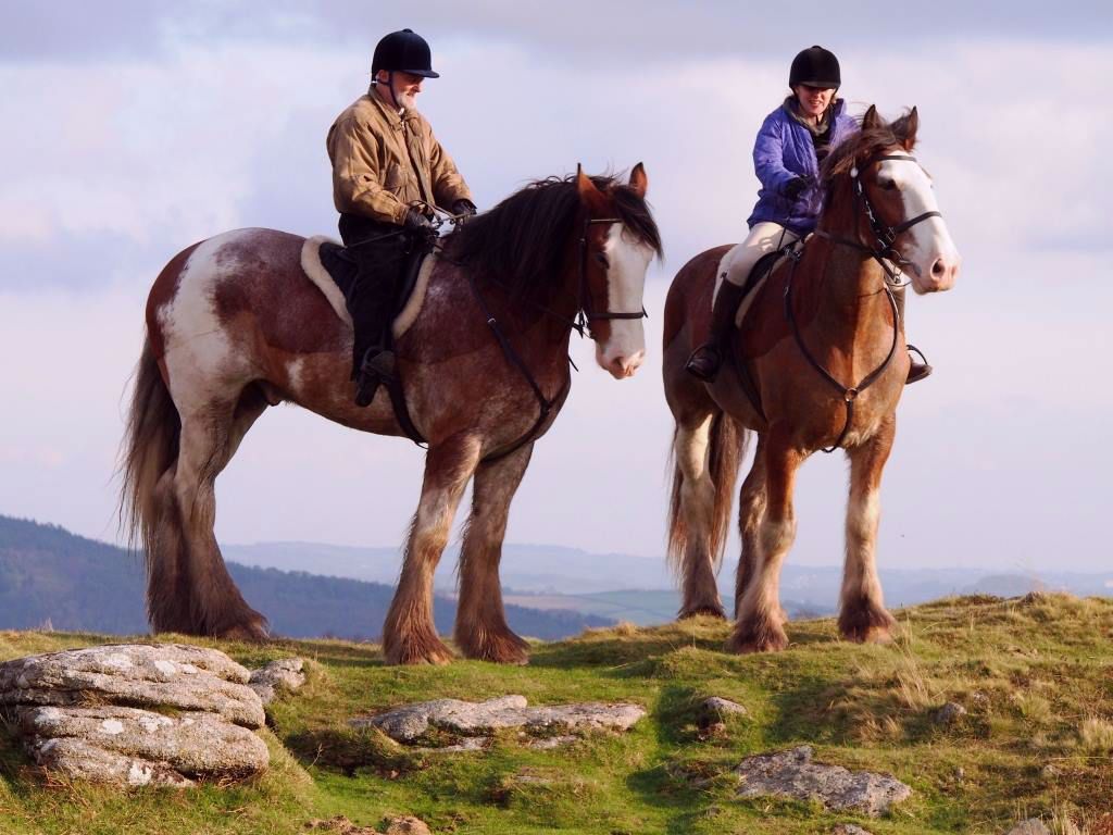 Adventure Clydesdale - Devon