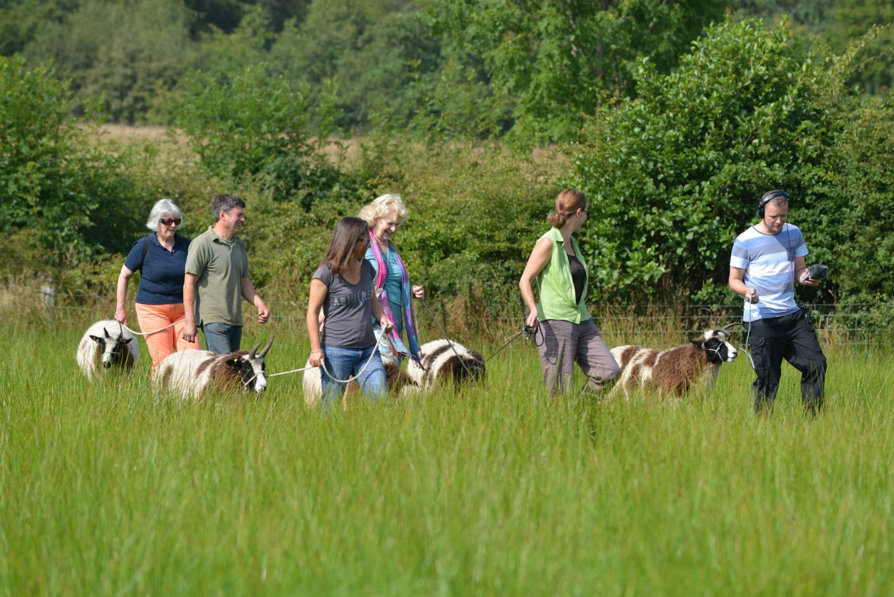 Good Day Out - Wales