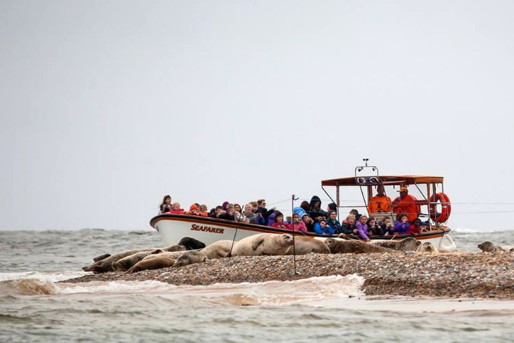 Beans Boat Trips - Norfolk