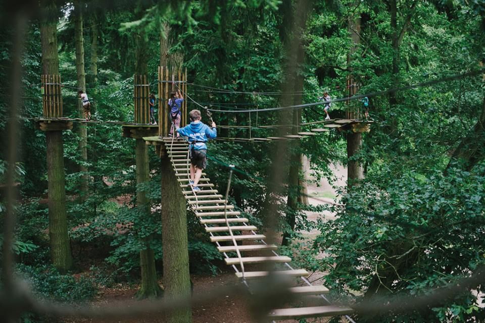 Go Ape! Segway Experience - Norfolk