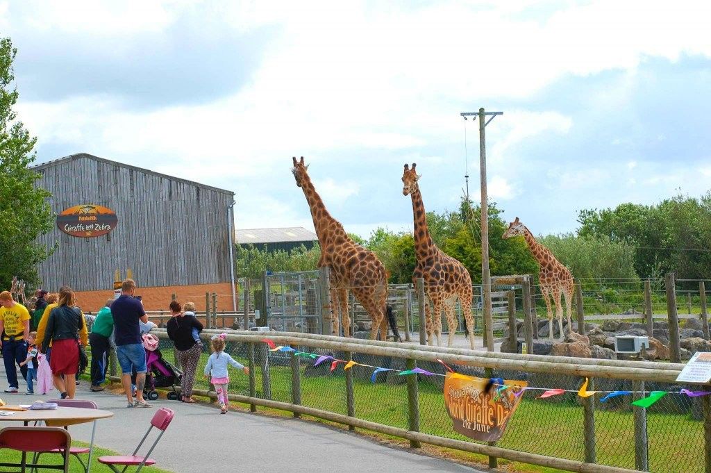 Folly Farm Adventure Park and Zoo - Wales