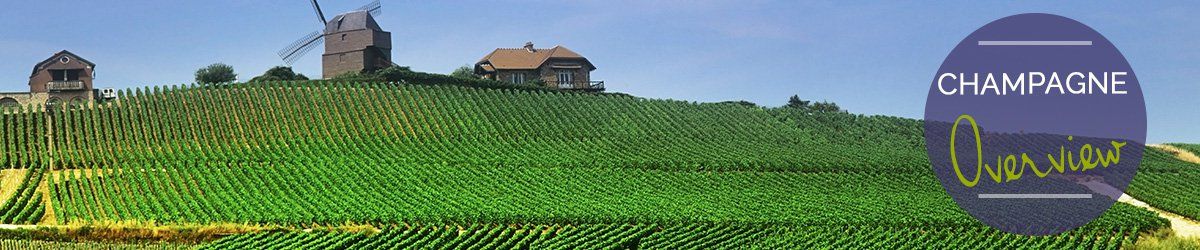 Champagne-Overview1
