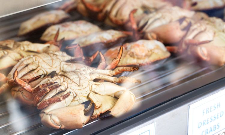 Fishmonger Shop Window Display Of Dressed Crabs For Sale In Cromer Norfolk UK
