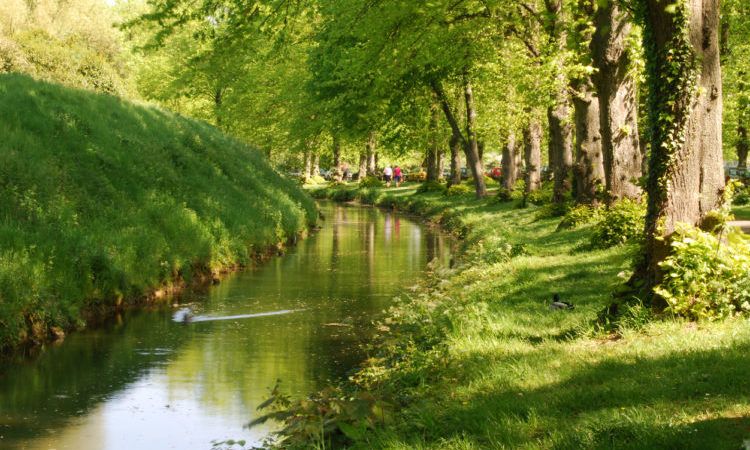 Stream in Sussex