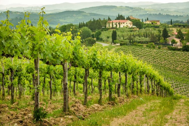 tuscany travel tips