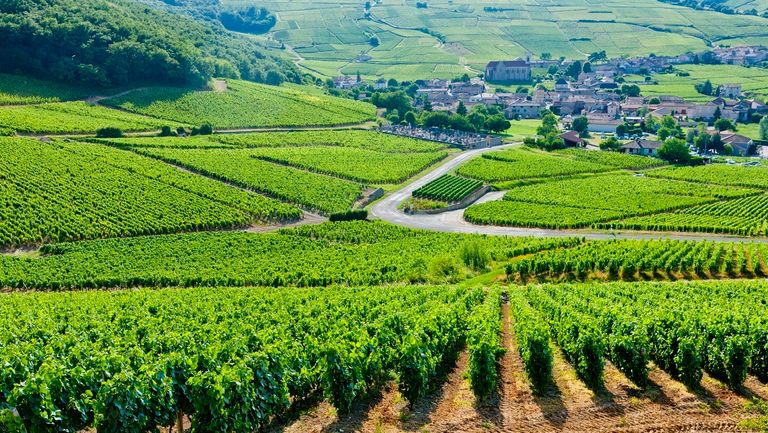 Burgundy, France