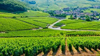 Burgundy, France