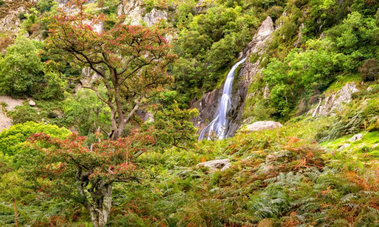 View of Aber Falls in Showdonia National Park