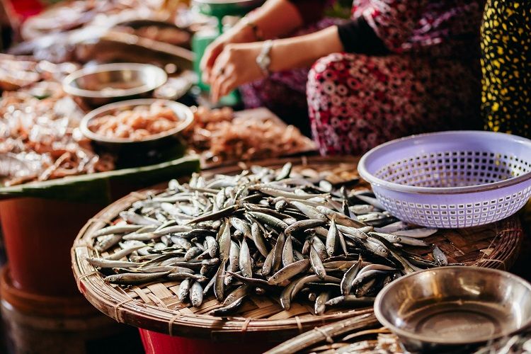 Raw fish assorted sliced and cut at street local market in Asia, Vietnam