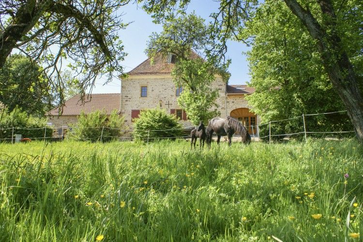 Chateau Beaucharm - Champagne - Oliver's Travels