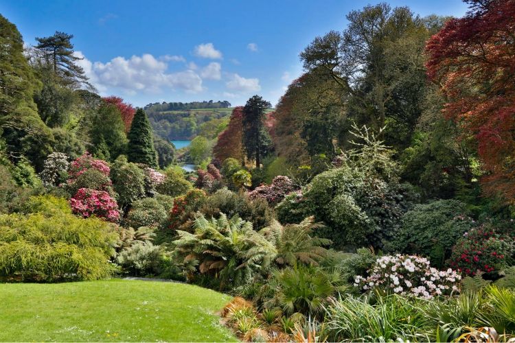things to do with kids in Cornwall