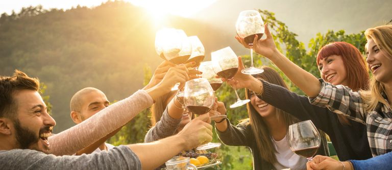 Food and wine pairing guide
