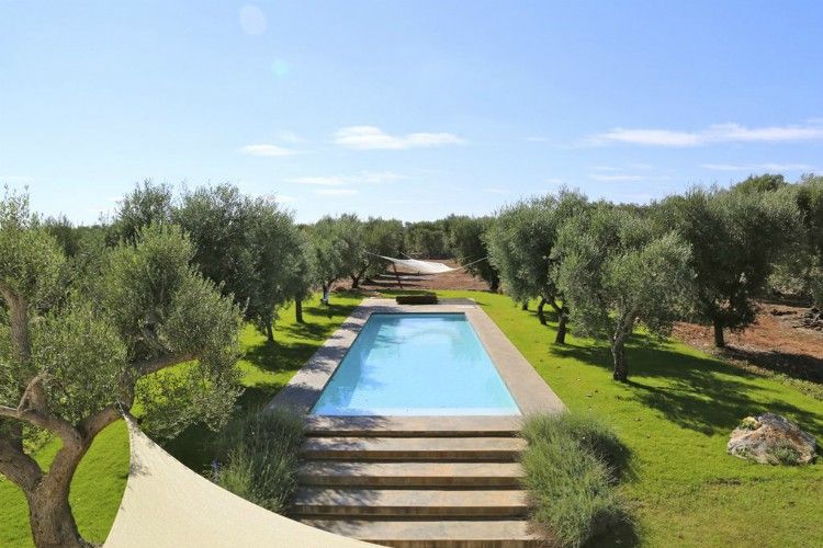 Trulli-di-Olive-Puglia-Olivers-Travels