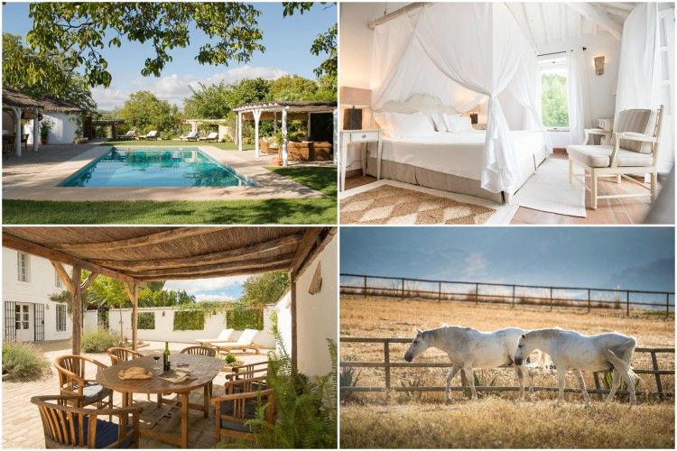 El Cortijo - Oliver's Travels