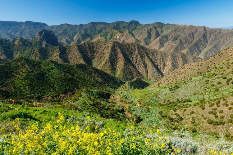 View mountain valley palm tree blue ocean sea, Agulo, La Gomera, Canary Islands
