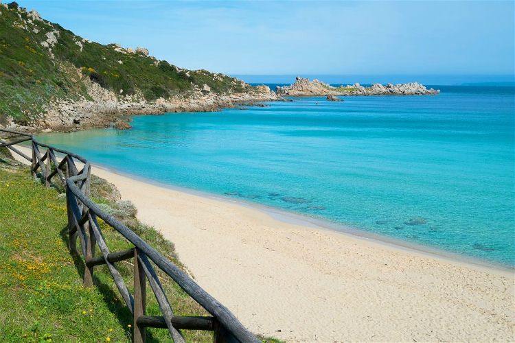 beaches in sardinia | grass and sand beach by clear blue water under clear skies and hillside | Spiaggia Rena Bianca