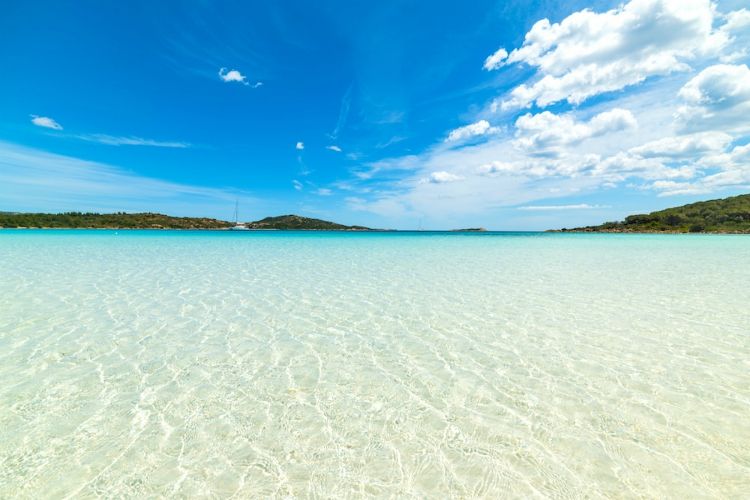 beaches in sardinia | white sand under clear water and blue skies, vegetation in the distance | Cala Brandinchi