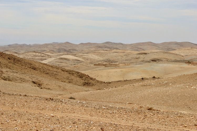 day trips from marrakech