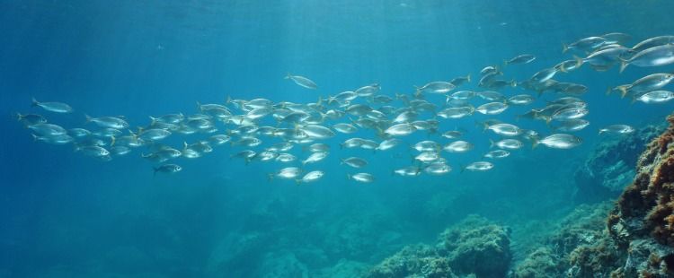 Things to do in Costa Brava