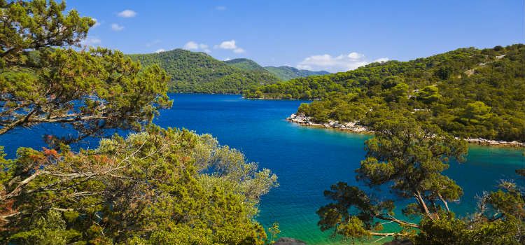 Mljet National Park things to do in dubrovnik