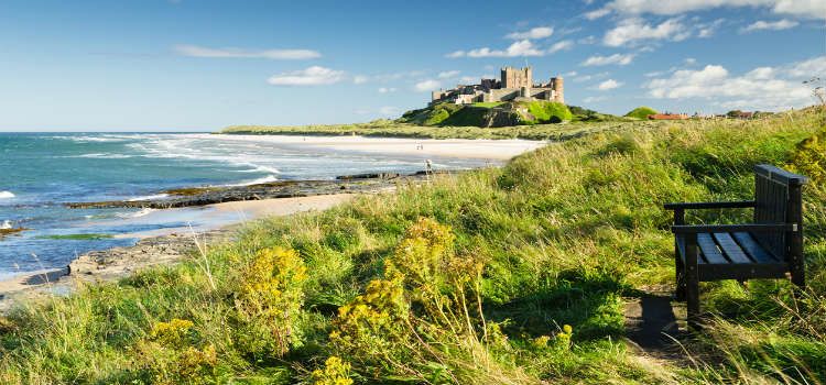 bamburgh castle things to do in northumberland