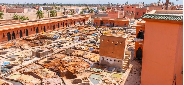 Things to do in Marrakech - Marrakech tanneries