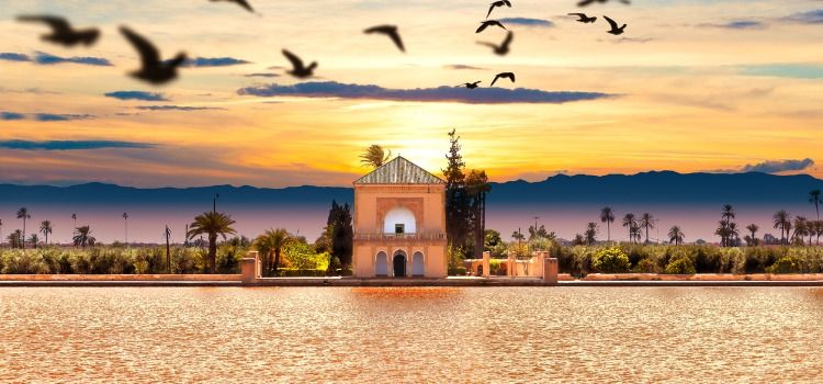 Things to do in Marrakech - Menara Gardens